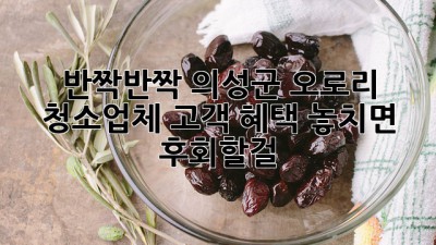 ✨반짝반짝✨ 의성군 오로리 청소업체 고객 혜택! 놓치면 후회할걸? 💖
