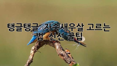 탱글탱글 😋 자숙새우살 고르는 법 & 신선 꿀팁 ✨