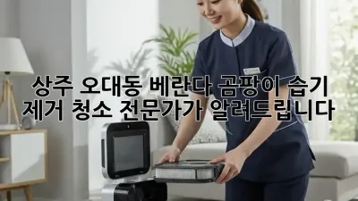 상주 오대동 베란다 곰팡이? 습기 제거 청소 전문가가 알려드립니다!